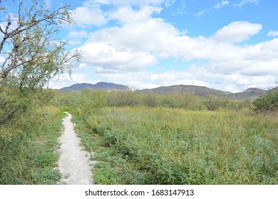 The Paths At Hueco Tanks