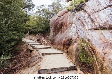 Paths And Landscape On The Freycinet Peninsula Circuit Day Hike On A Warm Wet Spring Day In Freycinet National Park, Tasmania, Australia