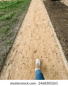 paths in the park before sunset