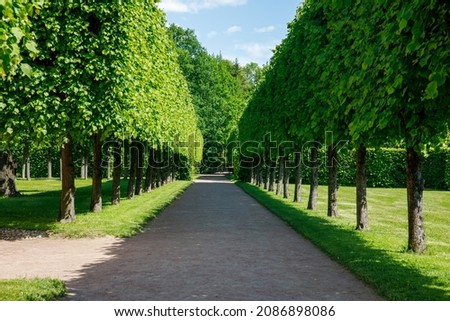 Paths and trimmed trees of Lower Park in Catherine Park in summer cloudly day. Tsarskoye Selo is State Museum-Preserve