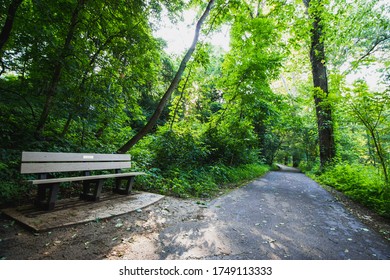 Paths wandering through trees in a forest with gravel and concrete areas and sunshine mixed with cloudy patches but lush green branches and leaves