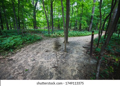 Paths wandering through trees in a forest with gravel and concrete areas and sunshine mixed with cloudy patches but lush green branches and leaves