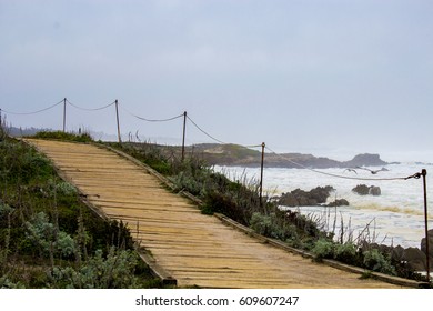 Pathway