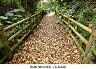 pathway