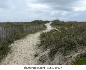 Pathway Along Beach Lined By Fence Stock Photo 1059769577 | Shutterstock