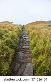 Pathway Along Mount Pulag