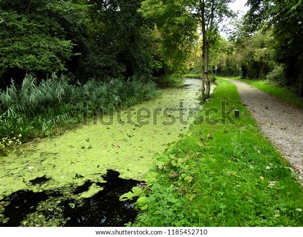 Pathway Along River Boyne Drogheda Co Stock Photo Edit Now