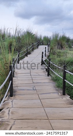 Pathway among grass, Kishbagh Sanddunes, Jaipur, India