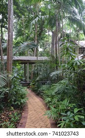 Pathway Among Nature And Rainforest At Green Island, Great Barrier Reef Near Cairns, Queensland, Australia