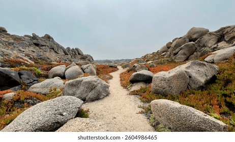 Pathway among rocks under cloudy skies in a natural landscape