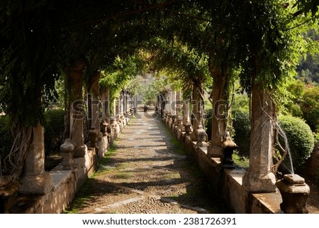 A pathway with arch trees ceiling of Jardines de Alfabia in Mallorca, Spain