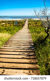 pathway to the beach
