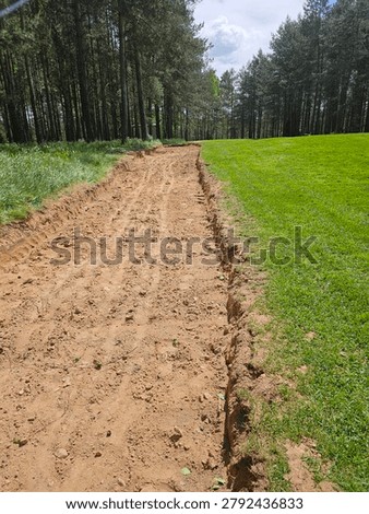 Pathway is being created through the forest near a grassy area on a sunny day