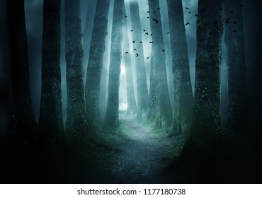 A pathway between trees leading into a dark and misty forest. Photo Composite.