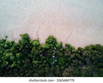 A pathway deep in the small forest ends