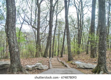 Pathway Down