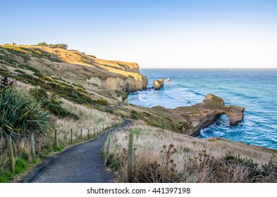 Pathway down to the Tunnel Beach which is located at Dunedin,New Zealand