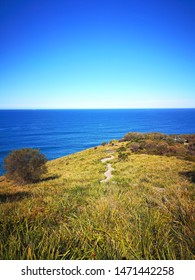 Pathway To Figure 8 Pools