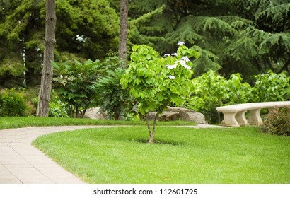 Pathway to garden