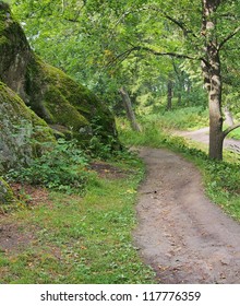 pathway in green forest