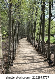 A Pathway At Grounds For Sculpture