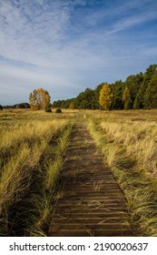 Pathway Late Summer Beautiful Scenery