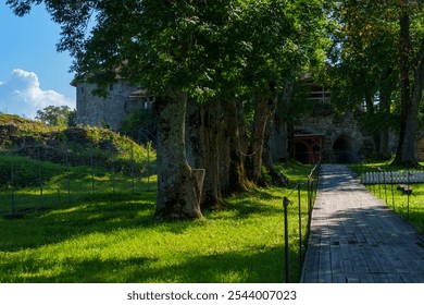 Pathway leading to an ancient stone fortress surrounded by large trees, creating a tranquil and historic ambiance amidst lush greenery - Powered by Shutterstock