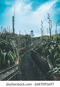 Pathway to a lighthouse surrounded by greenery under a cloudy sky.