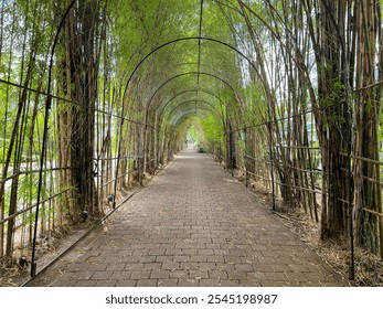 A pathway lined with brick tiles leads through an archway of tall, dense bamboo stalks, creating a natural tunnel. The scene is serene and inviting, perfect for a peaceful walk or meditation - Powered by Shutterstock