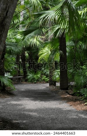 A Pathway in McKee Gardens