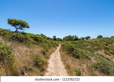 A Pathway On Angel Island State Park In San Francisco