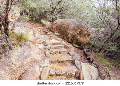 Pathway On The Iconic Freycinet Peninsula Circuit Day Hike On A Warm Wet Spring Day In Freycinet National Park, Tasmania, Australia