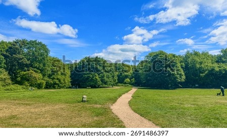 A pathway on Wimbledon Common at springtime