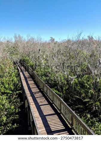 Pathway to the Other Side