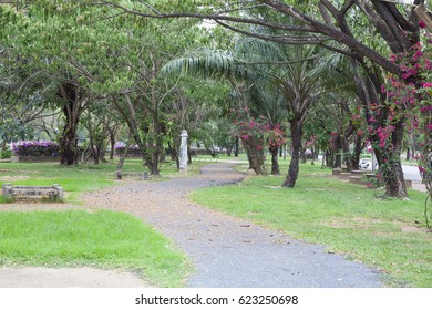 pathway in the park