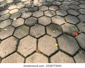 A pathway paved with hexagonal concrete blocks, dappled with sunlight and autumn leaves. - Powered by Shutterstock