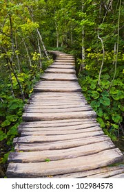 Pathway in Plitvice lakes park at Croatia - travel background