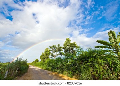 Pathway to Rainbow