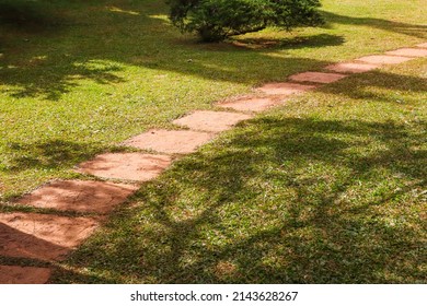 Pathway S Curve With Tree In Park.