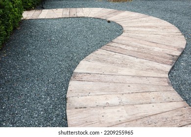 Pathway S Curve With Tree In Park.