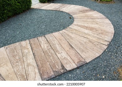 Pathway S Curve With Tree In Park.