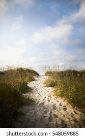 Pathway In Sand Dune To Beach