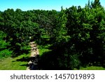 A pathway as seen from the observation platform at Lapham State Park in southeastern Wisconsin showing the path fade into the forest. 