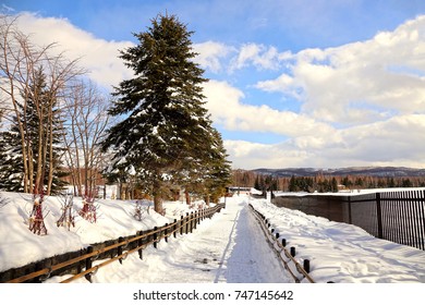 pathway with snow