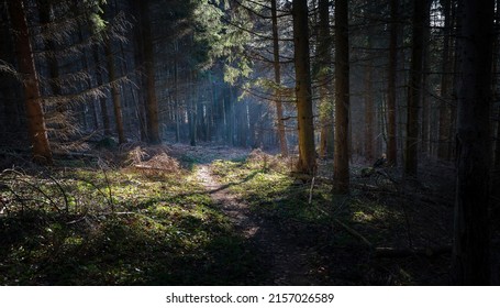 20,443 Pathway rays Images, Stock Photos & Vectors | Shutterstock