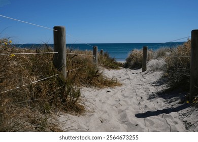 pathway to the surf and sand