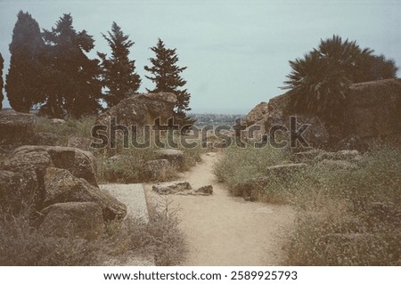 The pathway surrounded ancient ruins in Agrigento, Sicily