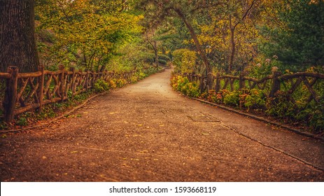 Pathway Surrounded By Wooden Fences Forest Stock Photo 1593668119