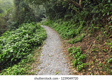 pathway in Taiwan