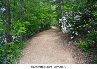 Pathway To Tallulah Gorge